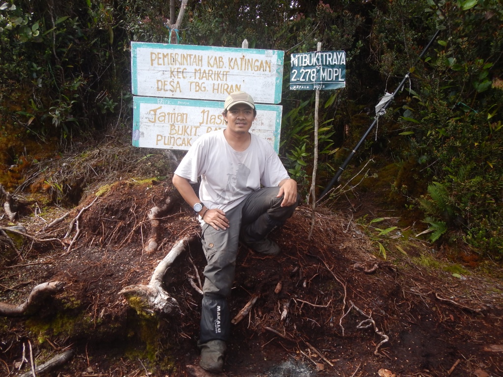 pendakian gunung bukit raya