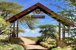safari tanzania