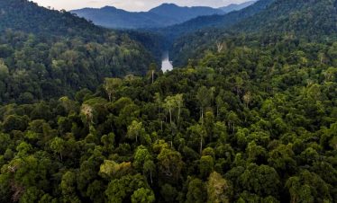 pendakian gunung leuser